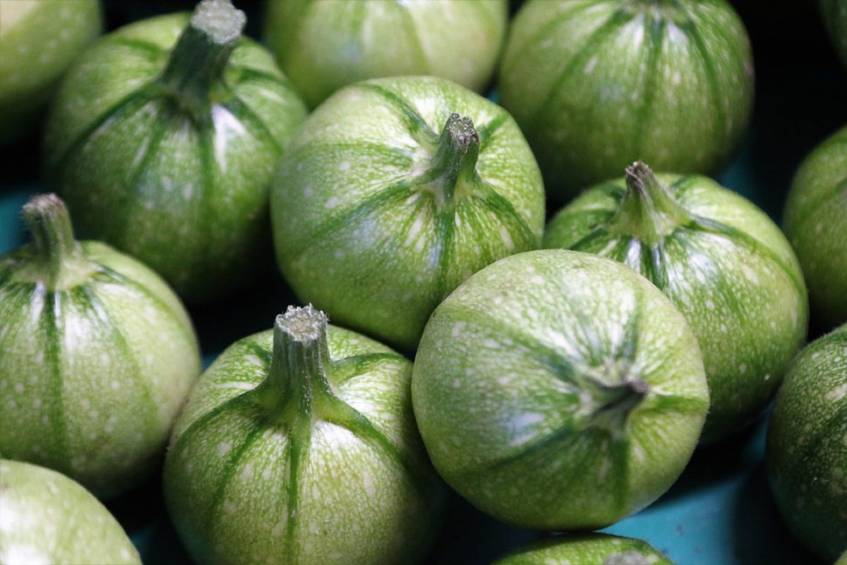 Astuces pour conserver les courgettes plus longtemps
