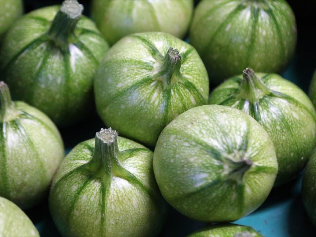 Astuces pour conserver les courgettes plus longtemps
