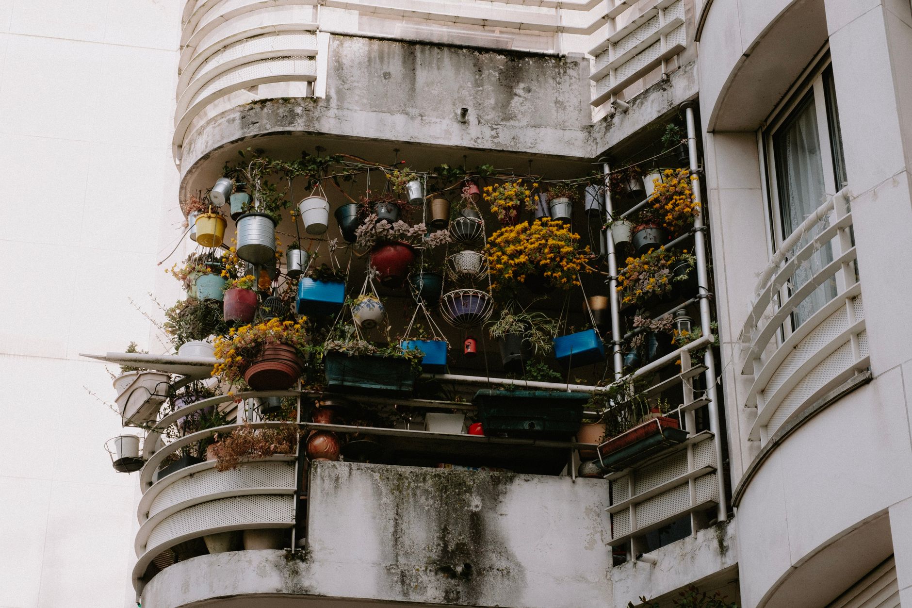 Aménager un petit balcon pour loisirs et jardinage local