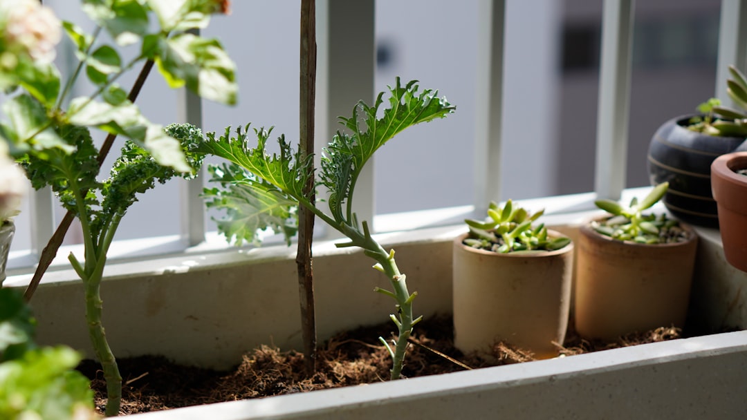 Quel bac de compostage pour un balcon ?