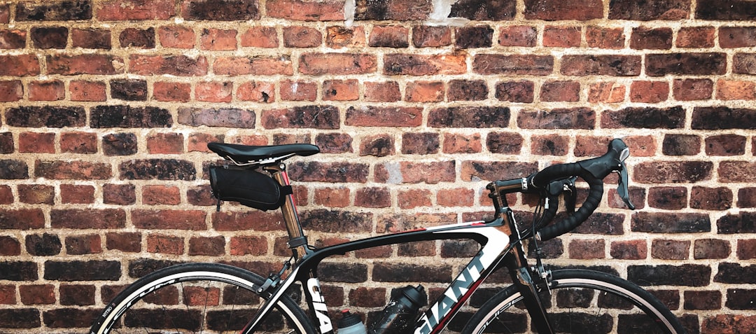 Decathlon ou Giant : quel vélo électrique choisir selon l'usage